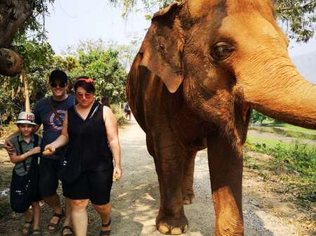 Famille marchant avec un éléphant